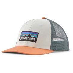 Patagonia P-6 Logo LoPro Trucker Hat 