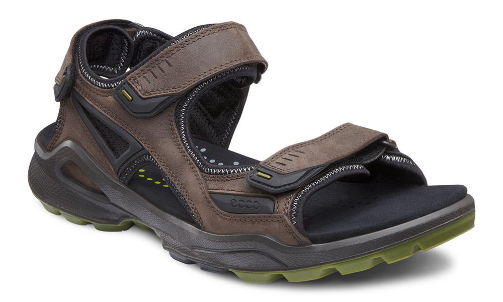 ecco biom sandals